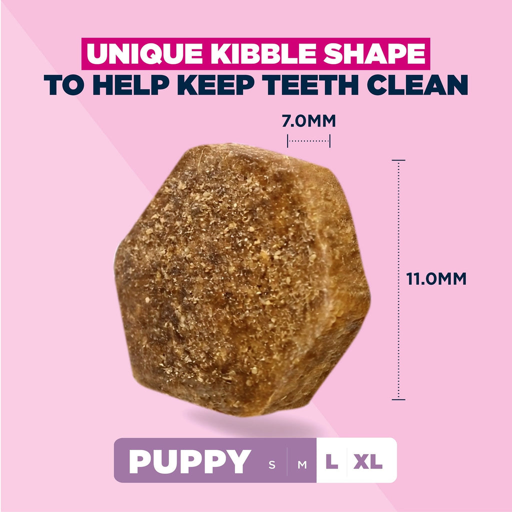 Eukanuba Puppy Large Breed Chicken Dry Dog Food 3kg
