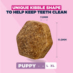 Eukanuba Puppy Large Breed Chicken Dry Dog Food 3kg