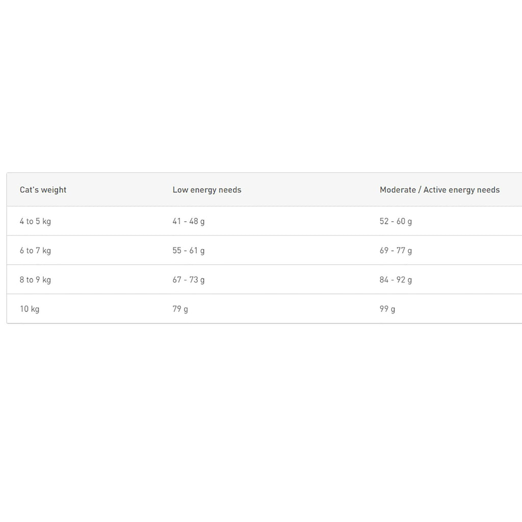 Maine Coon Adult Dry Cat Food 10kg