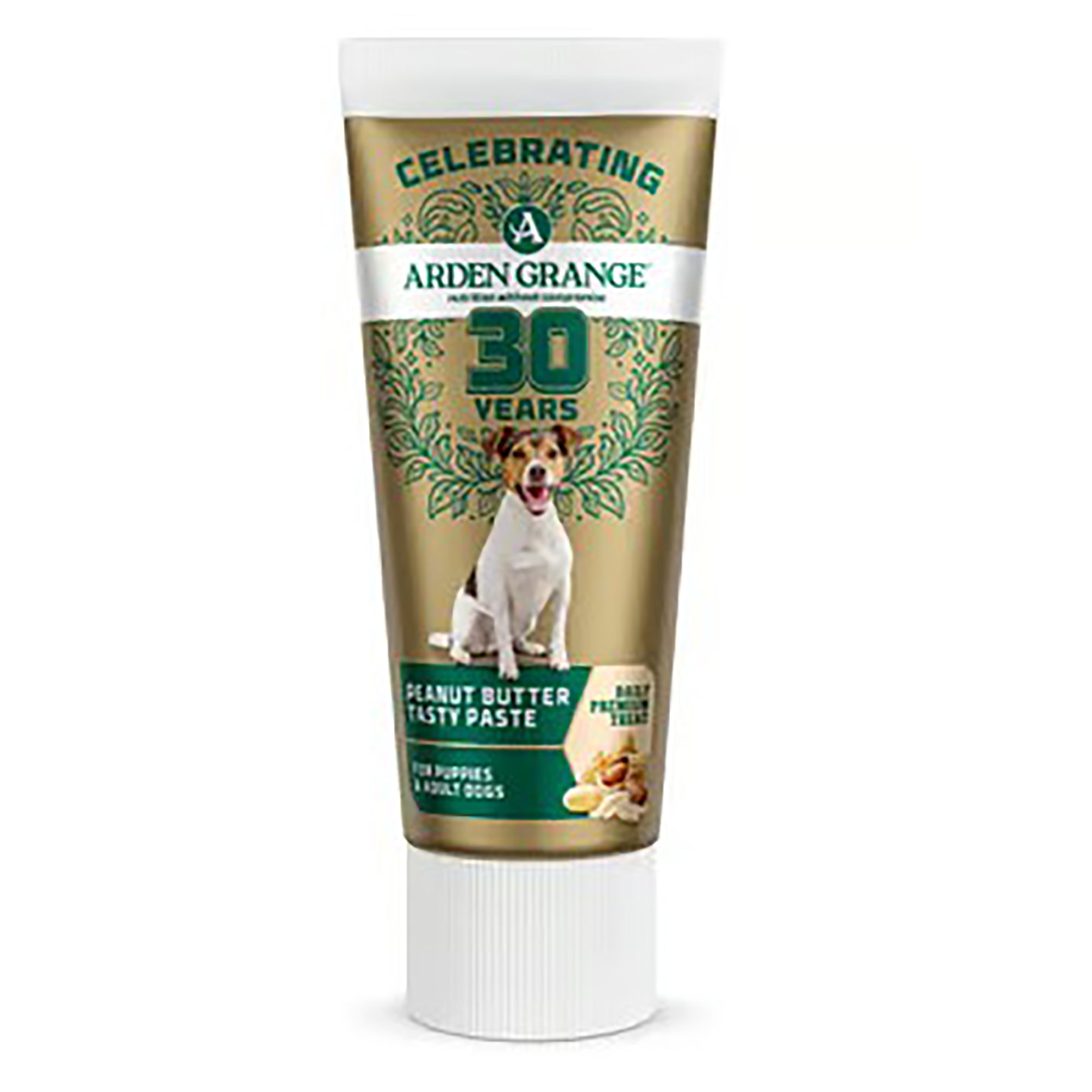 Arden Grange Tasty Peanut Butter Treat Paste for Dogs 75g tube