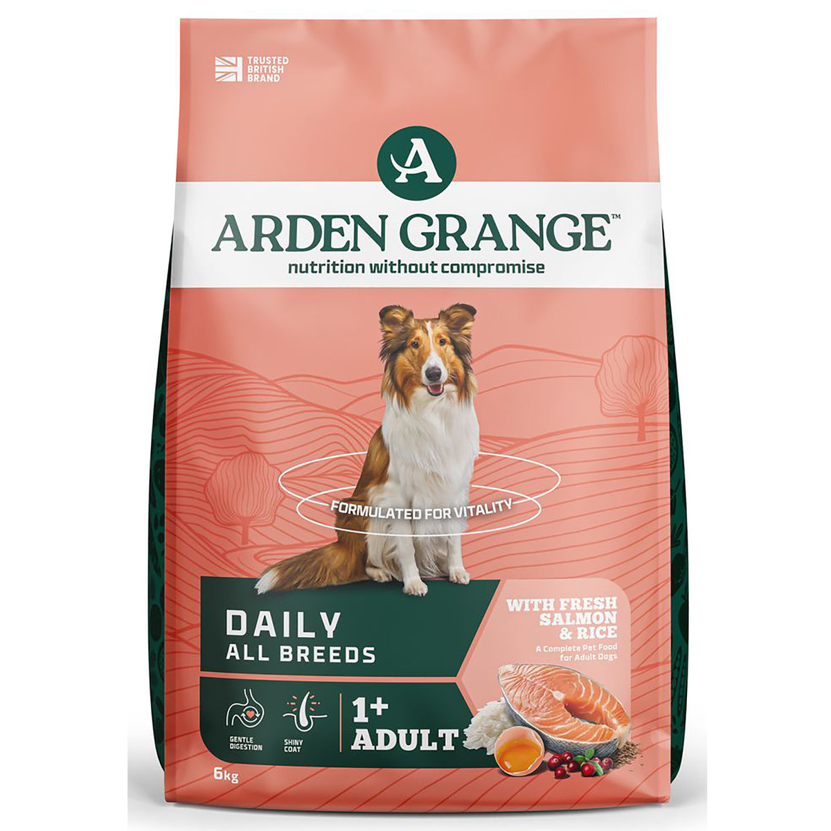 Arden Grange Adult dog food with fresh salmon and rice, 6kg bag with rough collie on the packaging