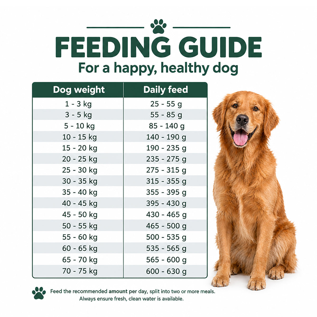 Feeding guide for Arden Grange Adult dog food with fresh salmon and rice, showing recommended daily feed in grams by dog weight, from 25-55g for a 1-3kg dog up to 600-630g for a 70-75kg dog, with golden retriever