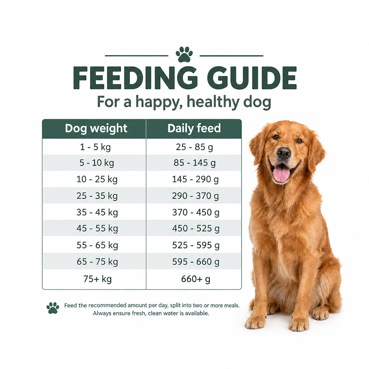 Feeding guide for Arden Grange Sensitive Adult grain free fish and potato dog food showing daily feed by dog weight, with golden retriever
