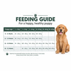Feeding guide for Arden Grange Sensitive Puppy/Junior grain free fish and potato dog food showing daily feed by age and weight, with golden retriever puppy