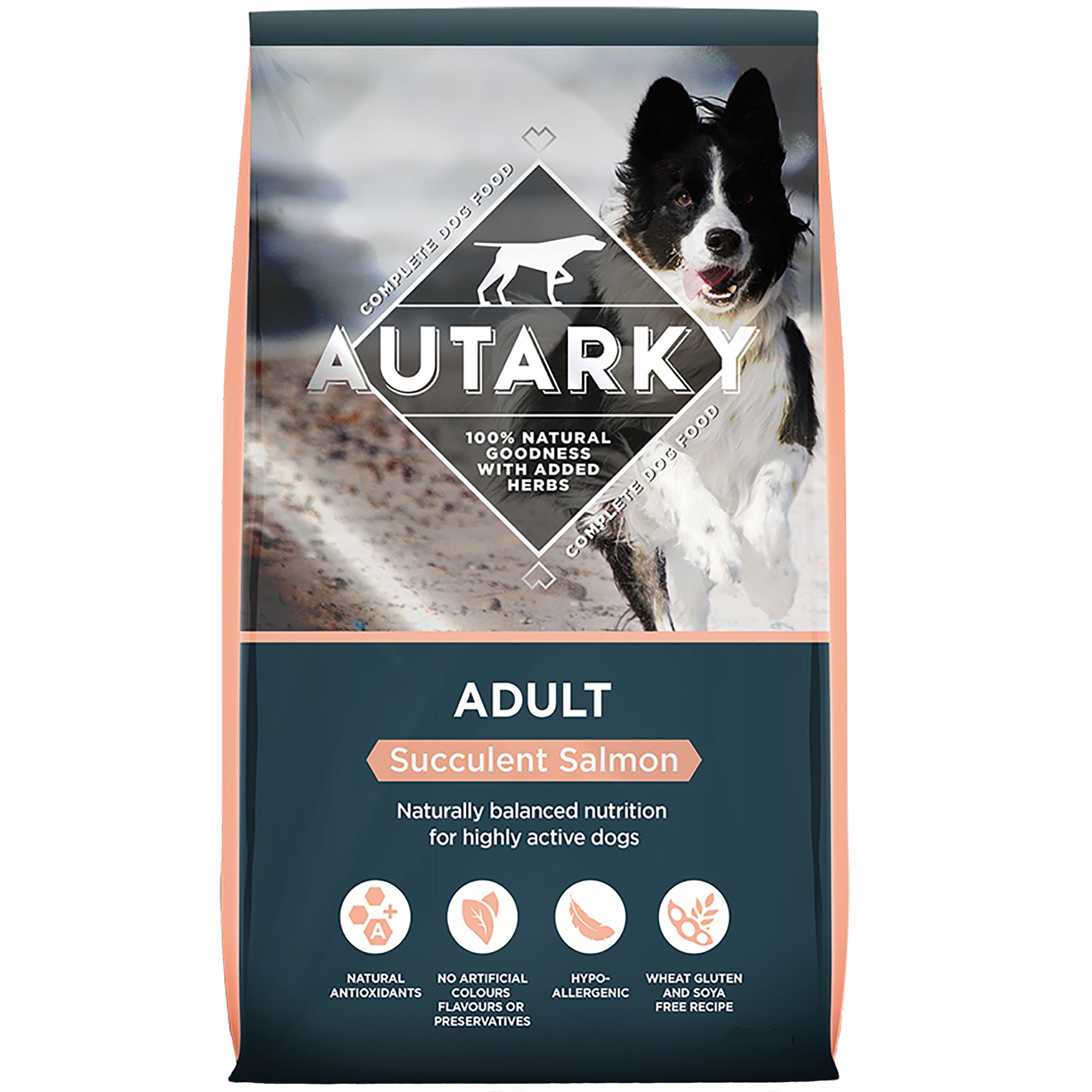 Autarky Adult Succulent Salmon Dry Dog Food 2kg