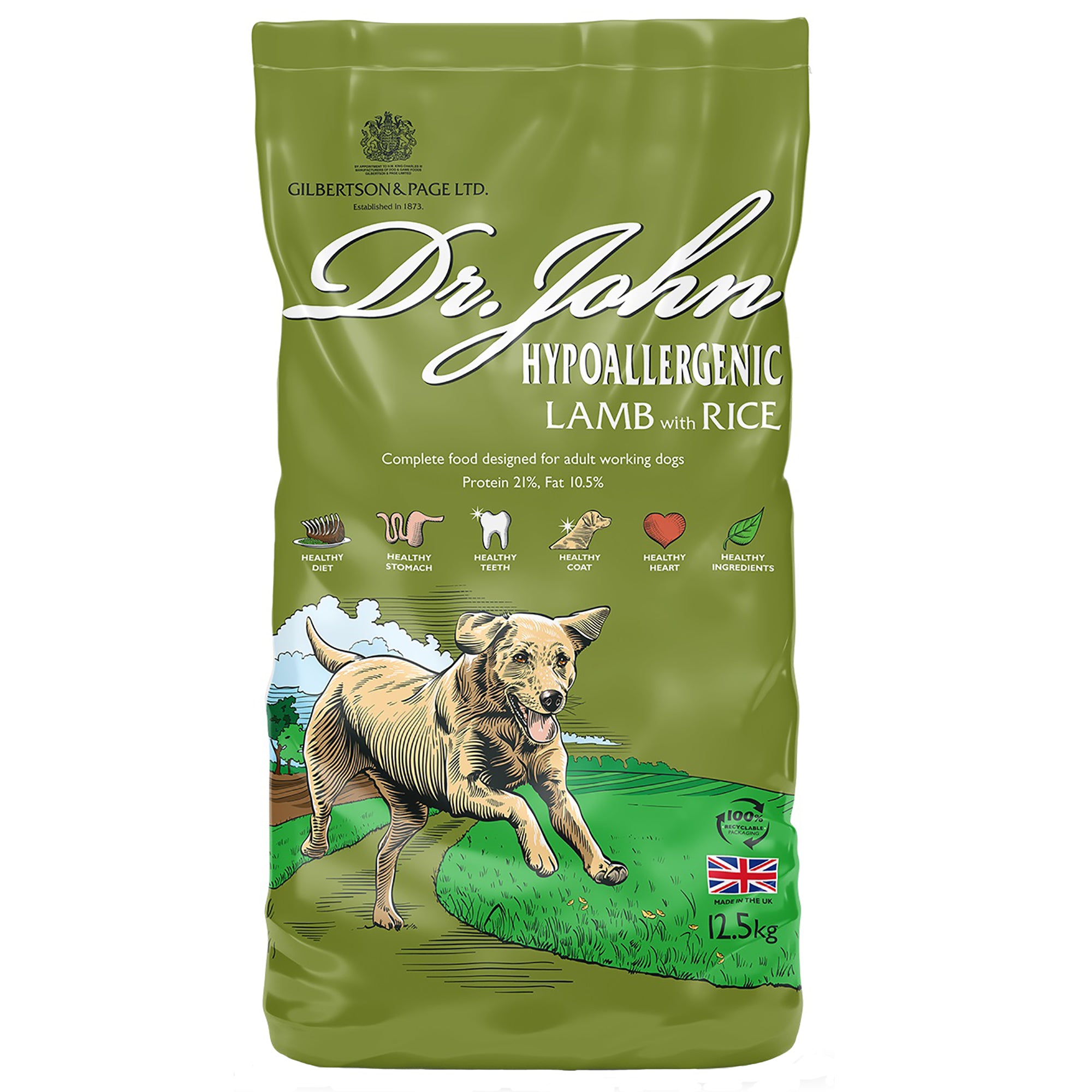 Green bag of Dr. John hypoallergenic lamb with rice dog food on a white background