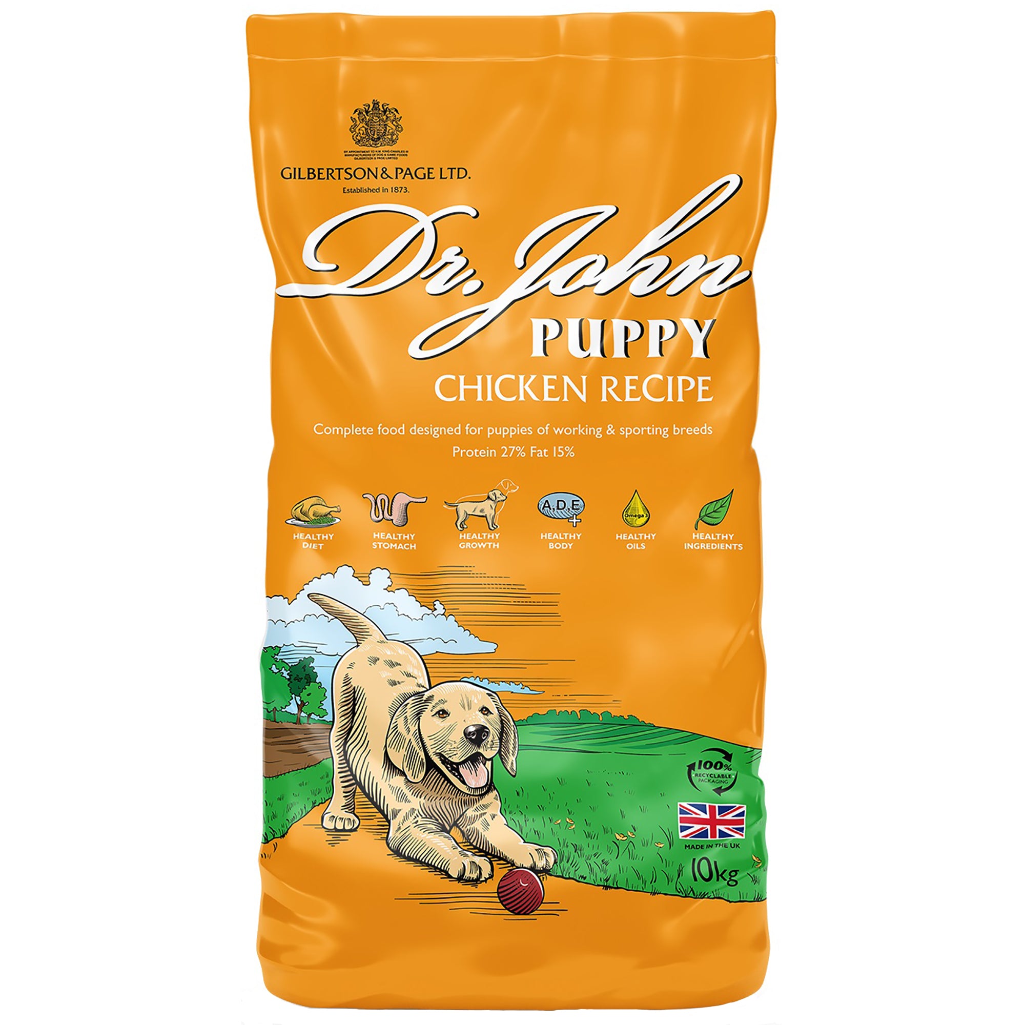 Dr. John Puppy Chicken Recipe dog food package on a white background