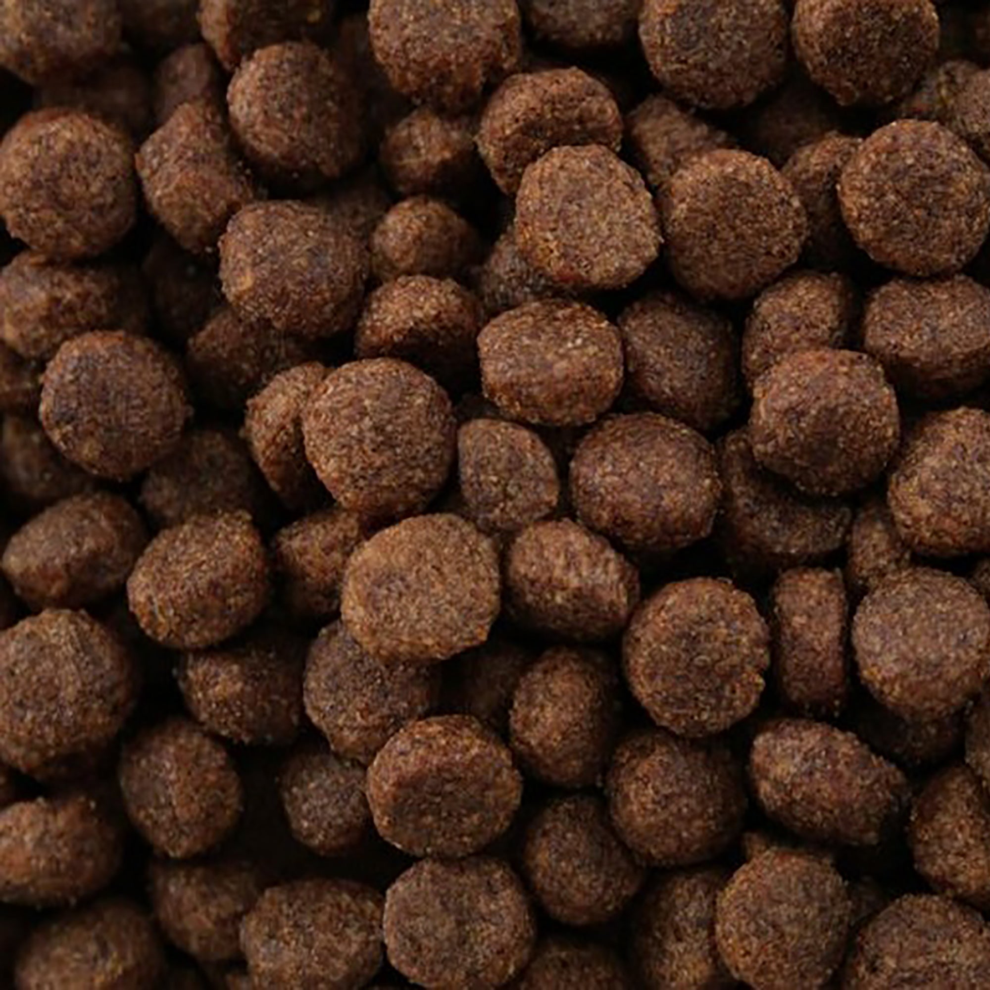 Close-up of brown dog food kibble