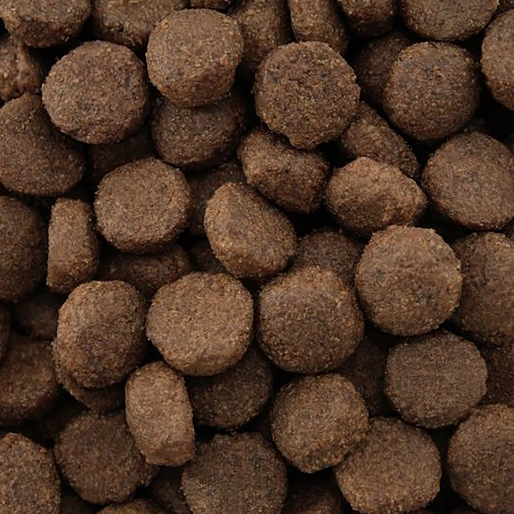 Close-up of brown pet food kibble