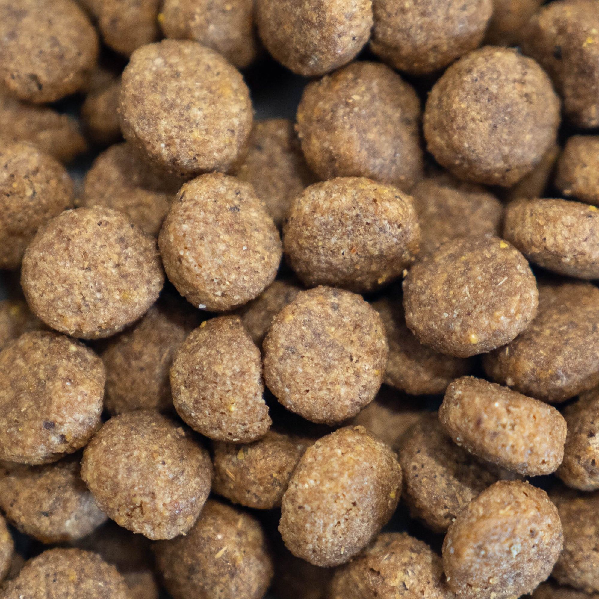 Close-up of brown pet food kibble