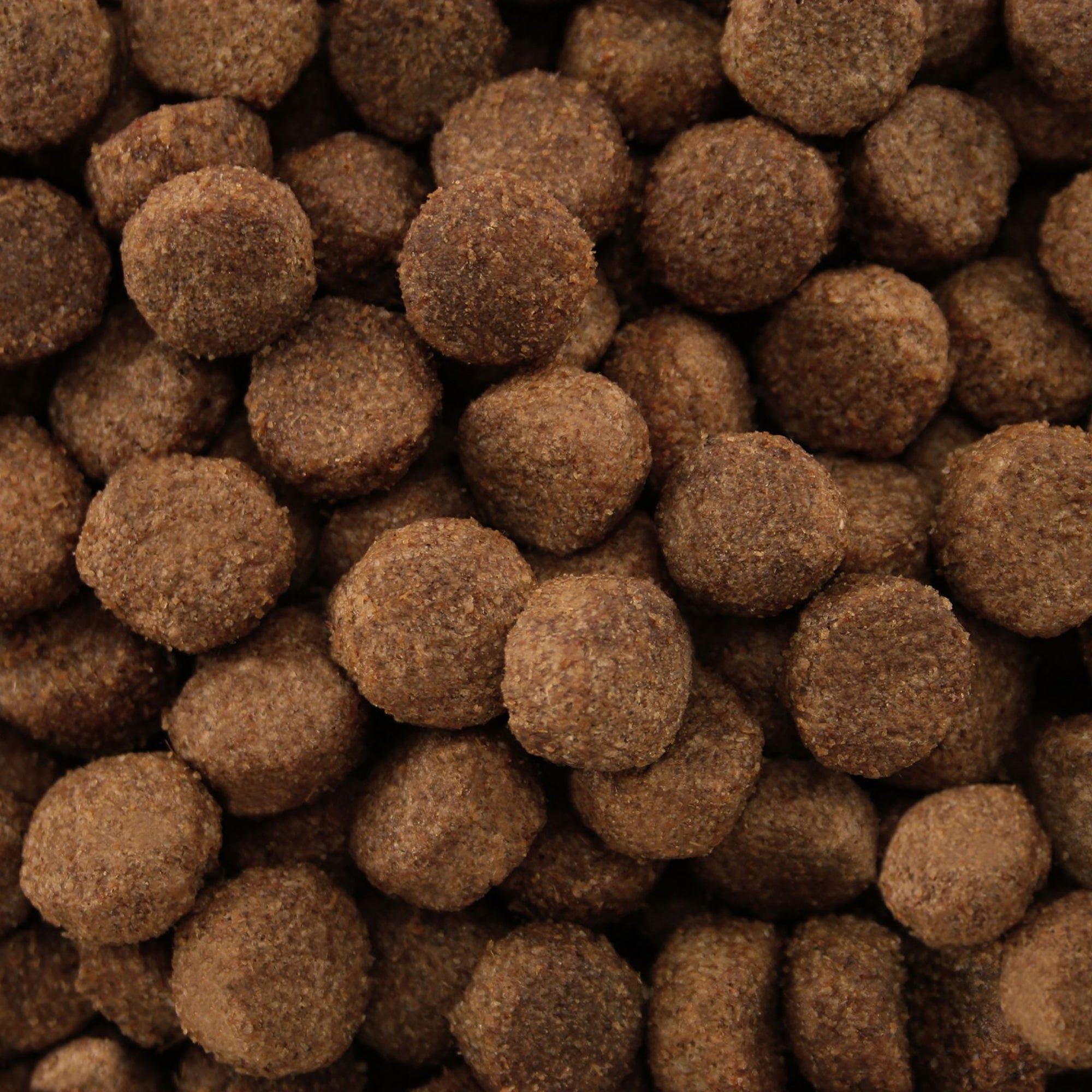 Close-up of brown pet food kibble