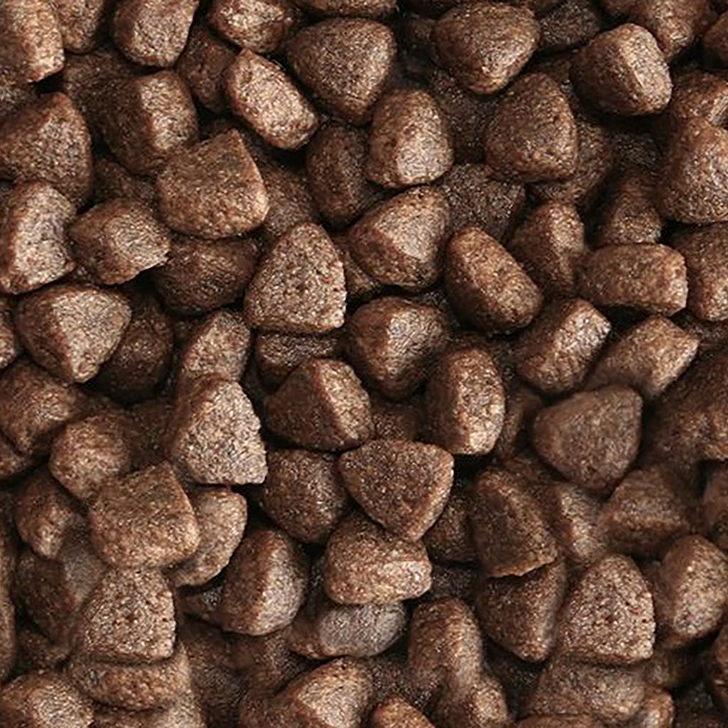 Close-up of brown pet food kibble