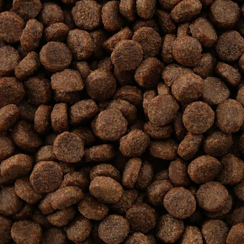Close-up of brown pet food kibble