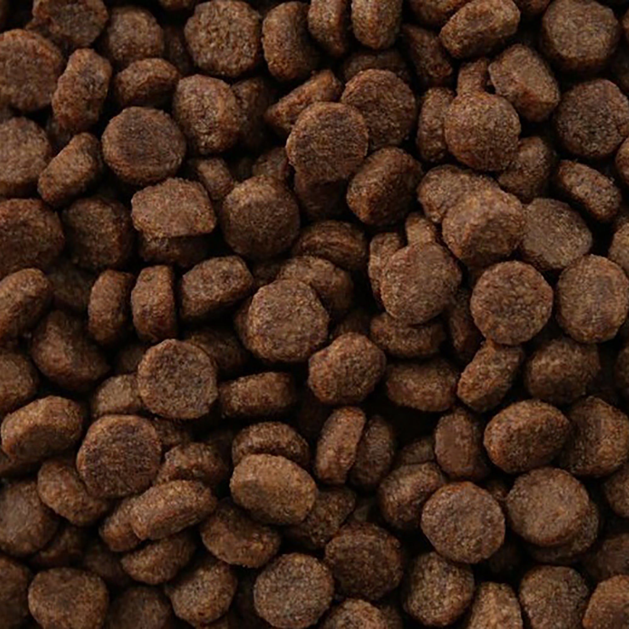 Close-up of brown pet food kibble