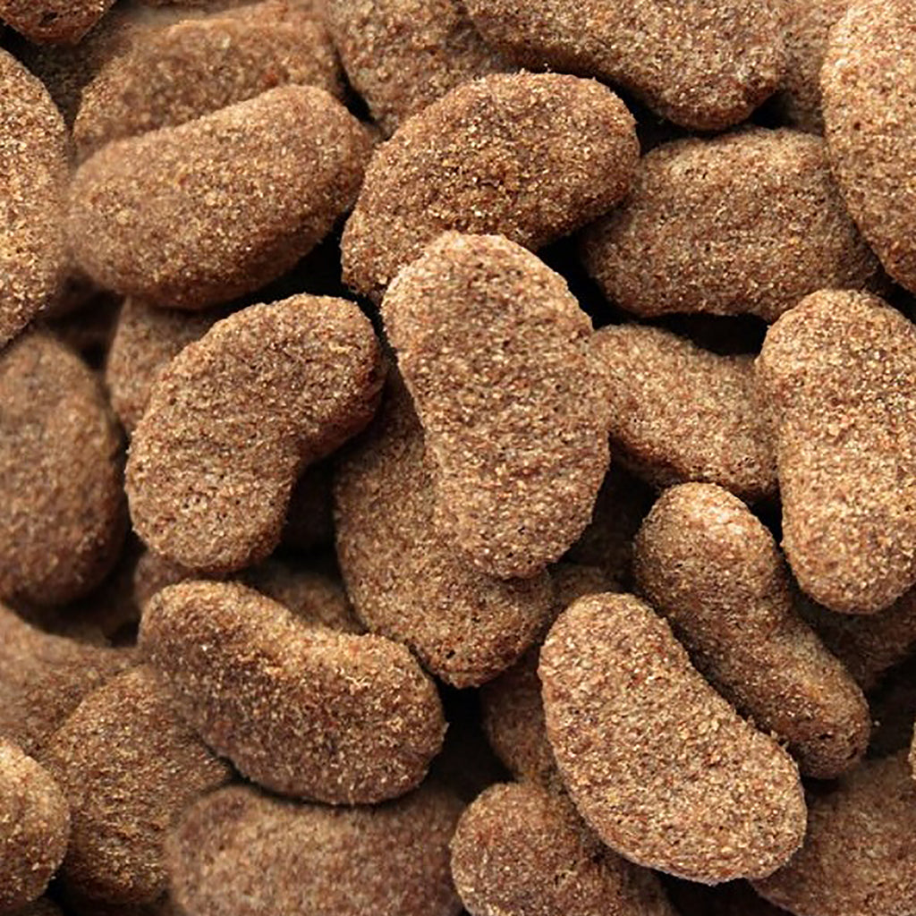 Close-up of brown dog food kibble