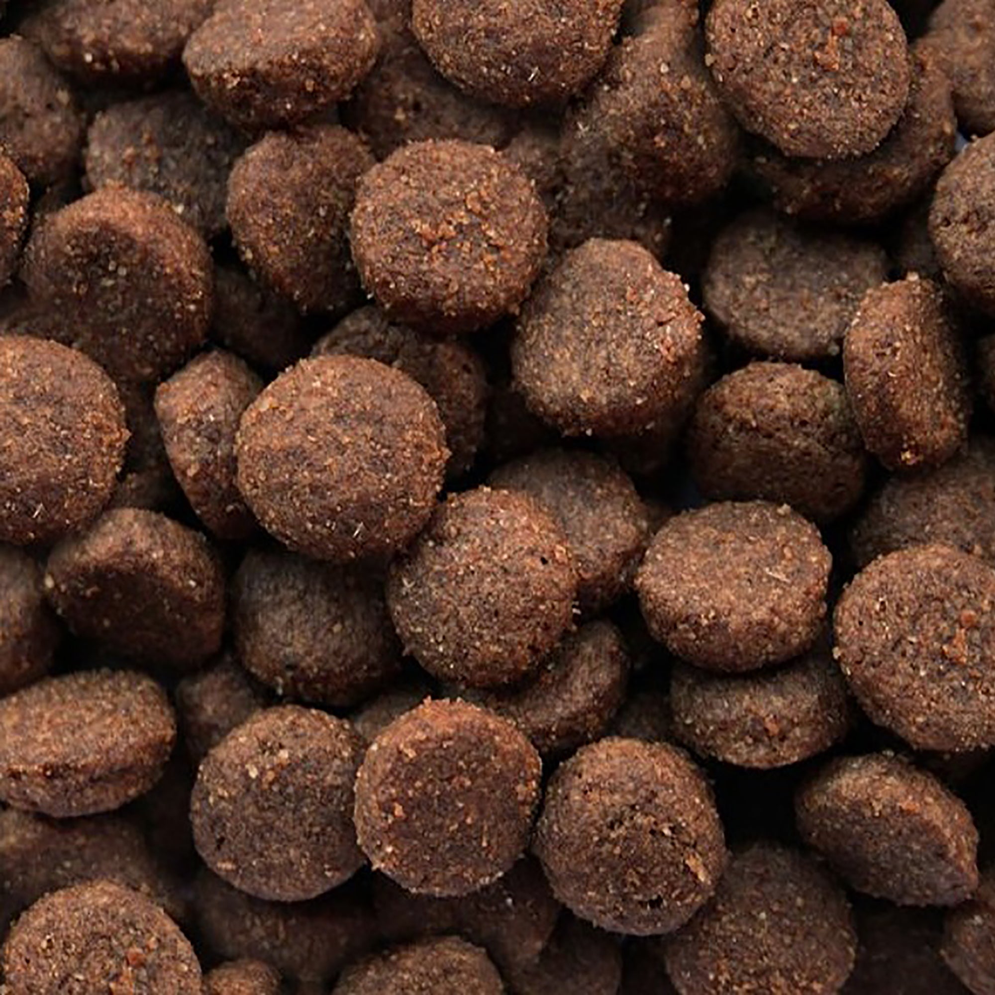 Close-up of brown pet food kibble