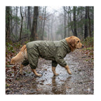 Golden Retriever wearing the Happy Pet Olive Green Waterproof Dog Coat on a muddy forest trail in the rain, showing full-body coverage and elasticated leg openings