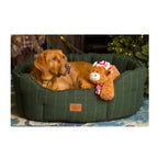 Dog relaxing in a green bed beside a House of Paws Highland Cow Christmas toy wearing a hat and scarf