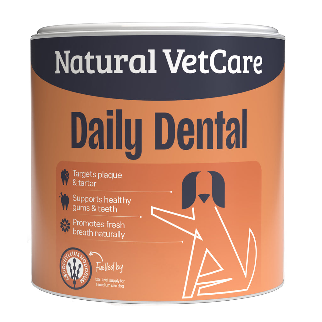 Natural Vetcare Daily Dental Dog Powder 200g