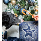 Dog being given a Rosewood Cupid & Comet Collagen Candy Cane treat in front of a Christmas tree