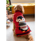 Curly-haired dog wearing a red Rosewood Cupid & Comet penguin Christmas jumper beside the gift box