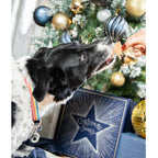 Dog being fed Rosewood Cupid & Comet Meaty Star Bites chicken treat in front of a Christmas tree