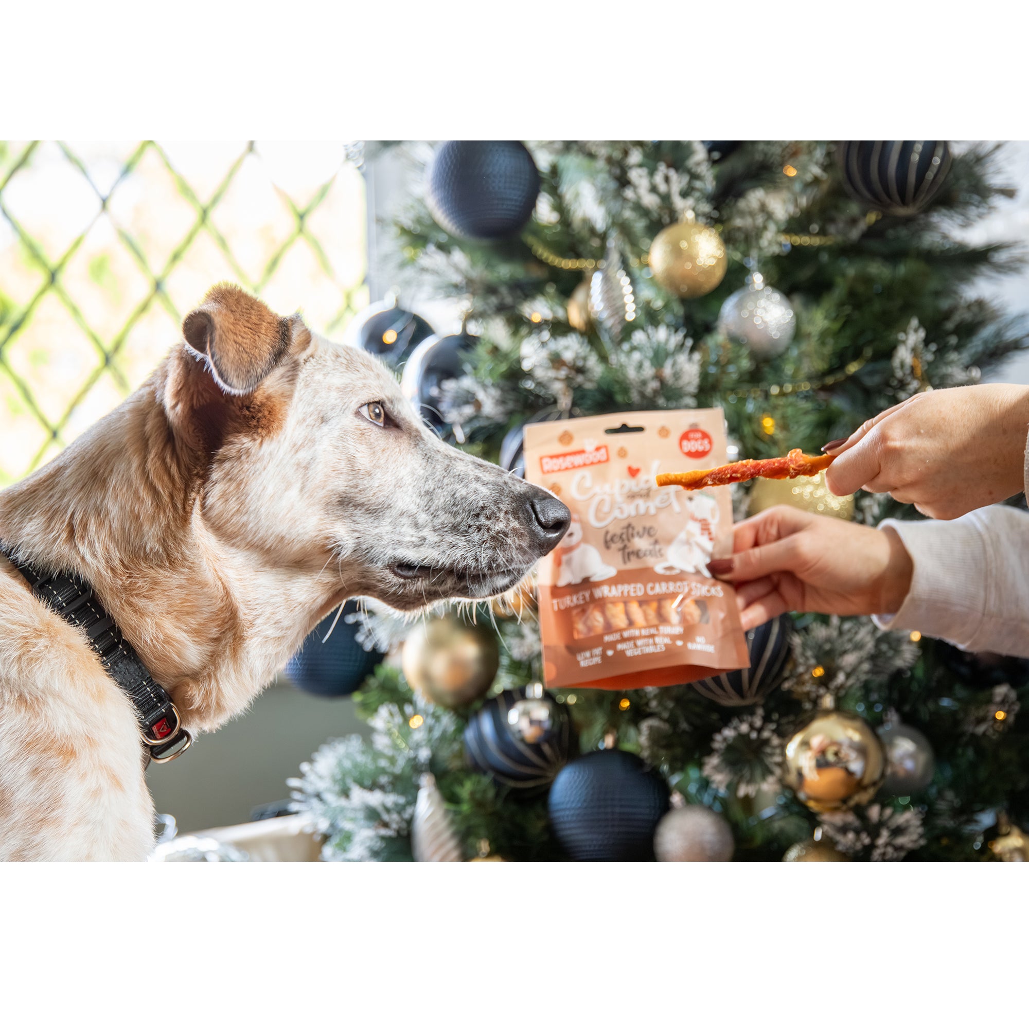 Rosewood Cupid & Comet Turkey Wrapped Carrot Sticks 100g — person offering a turkey wrapped carrot stick to a large grey and tan dog in front of a decorated Christmas tree with navy, gold and silver baubles