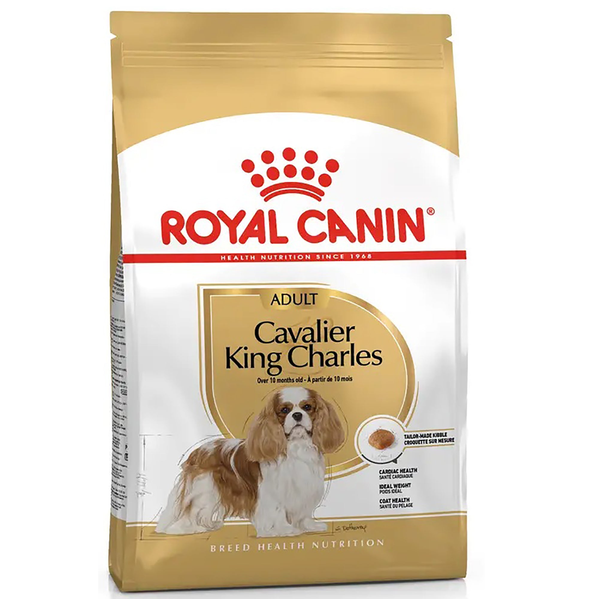 A bag of Royal Canin Cavalier King Charles Adult dog food, featuring a white and gold package with a photo of a Cavalier King Charles Spaniel on the front.
