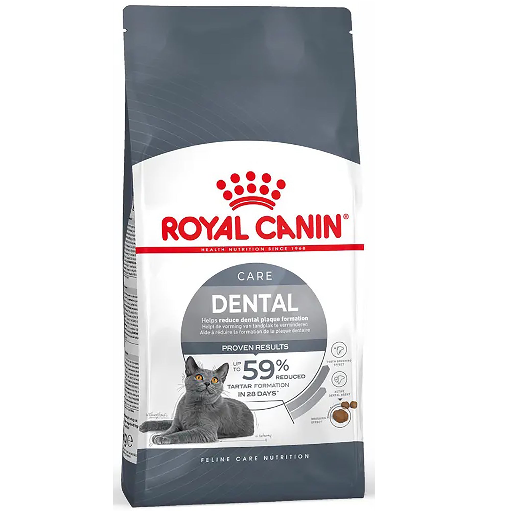 A bag of Royal Canin Care Dental cat food, featuring a gray and white package with a red Royal Canin logo and an illustration of a gray cat.