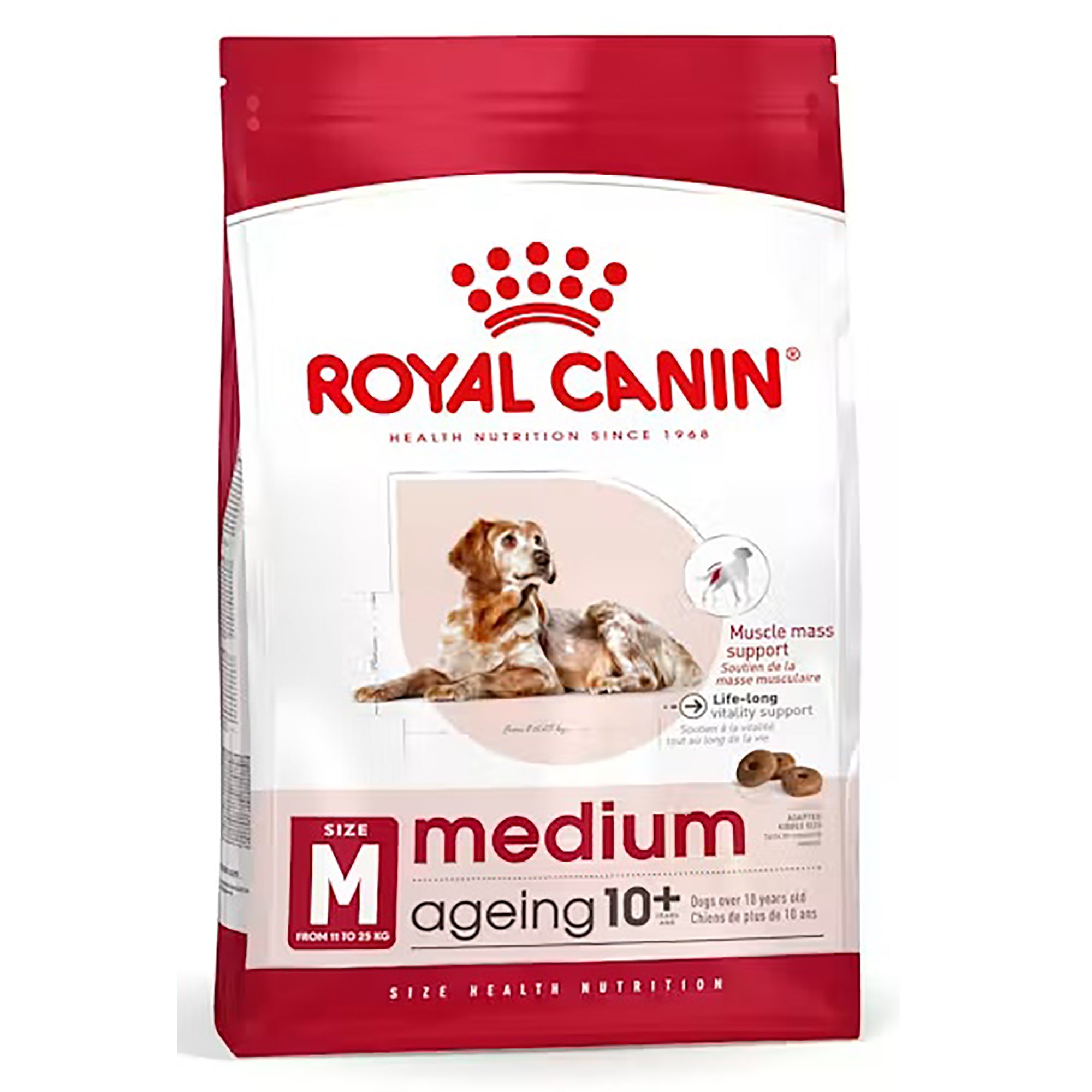 A bag of Royal Canin Medium Ageing 10+ dog food, featuring a red and white package with an image of a brown and white dog on the front.