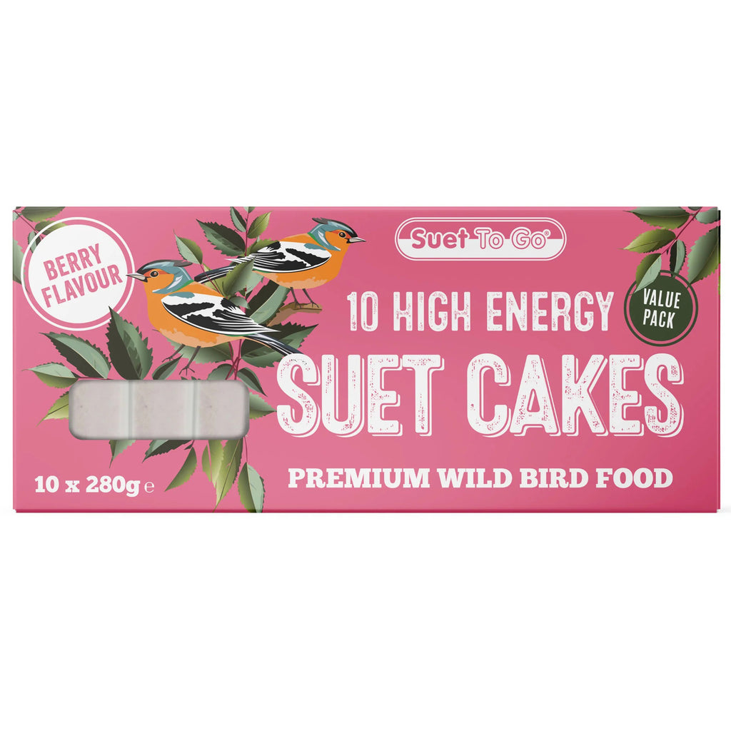 Box of 10 high energy suet cakes with birds on a pink background
