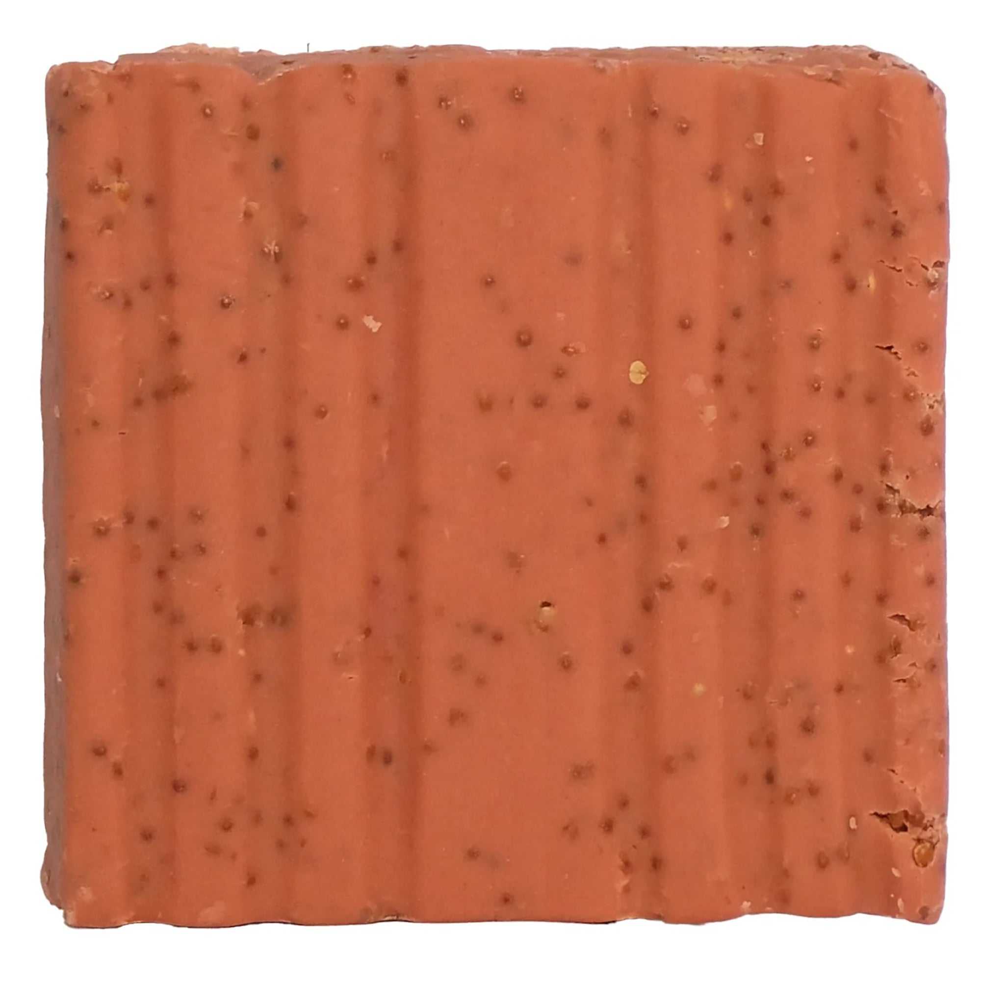 Rectangular berry suet block with a textured surface on a white background