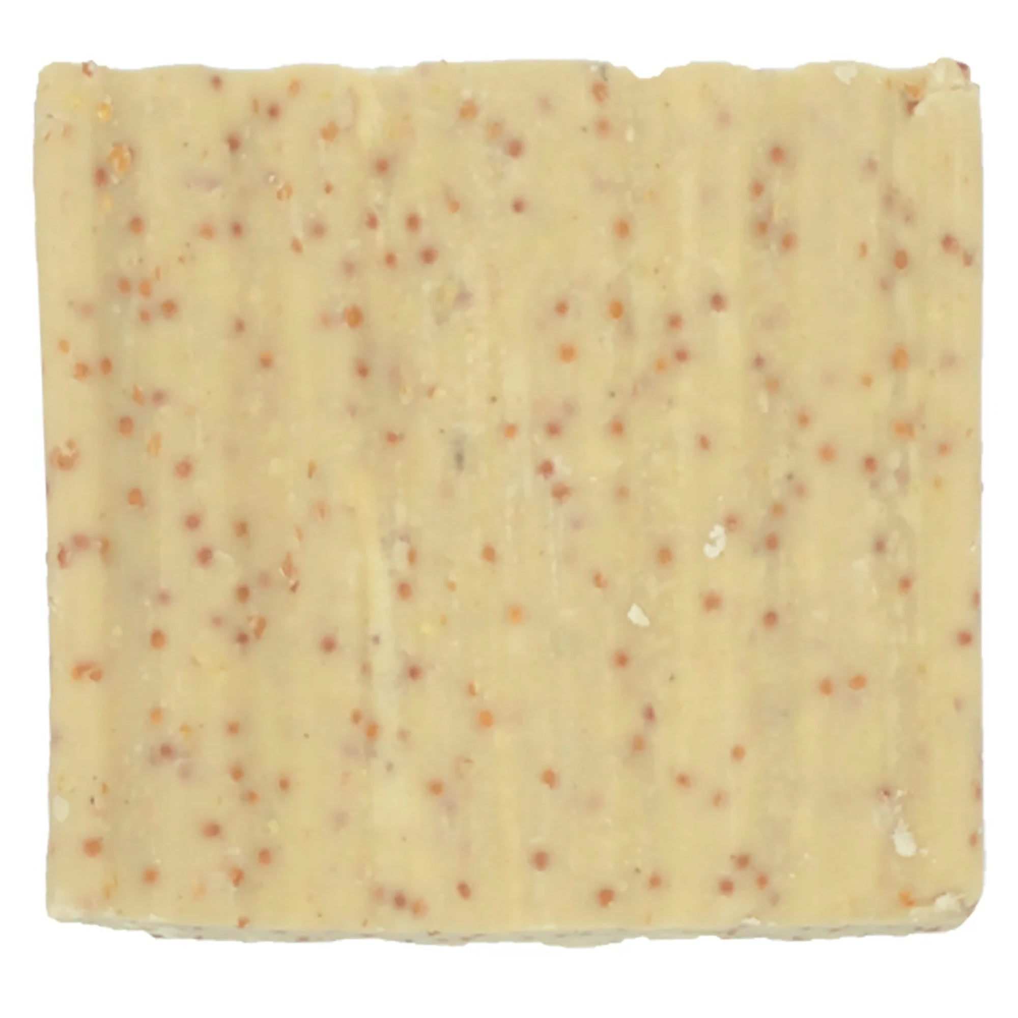 Square mealworm suet block with speckled pattern on a white background