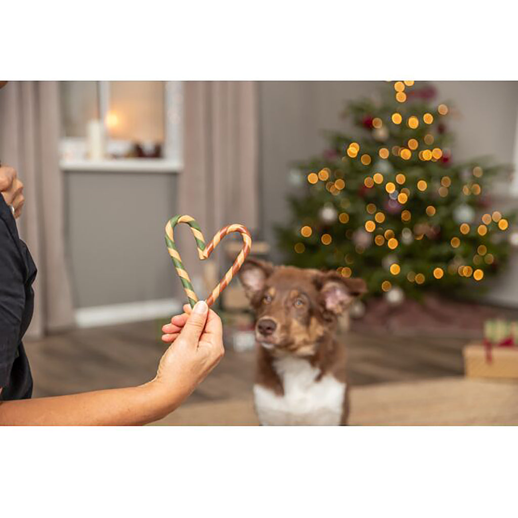 Trixie Christmas candy cane dog treat 20g lifestyle image