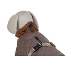 Close-up of the brown Trixie Minot dog coat showing the soft teddy collar, drawstring and adjustable buckle