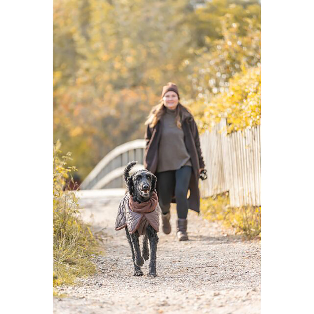 Dog wearing a brown Trixie Minot Sherpa coat while walking with its owner outdoors