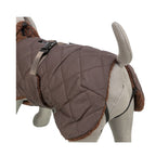 Rear view of the brown Trixie Minot dog coat showing the adjustable belly strap, teddy trim and hind-leg loops
