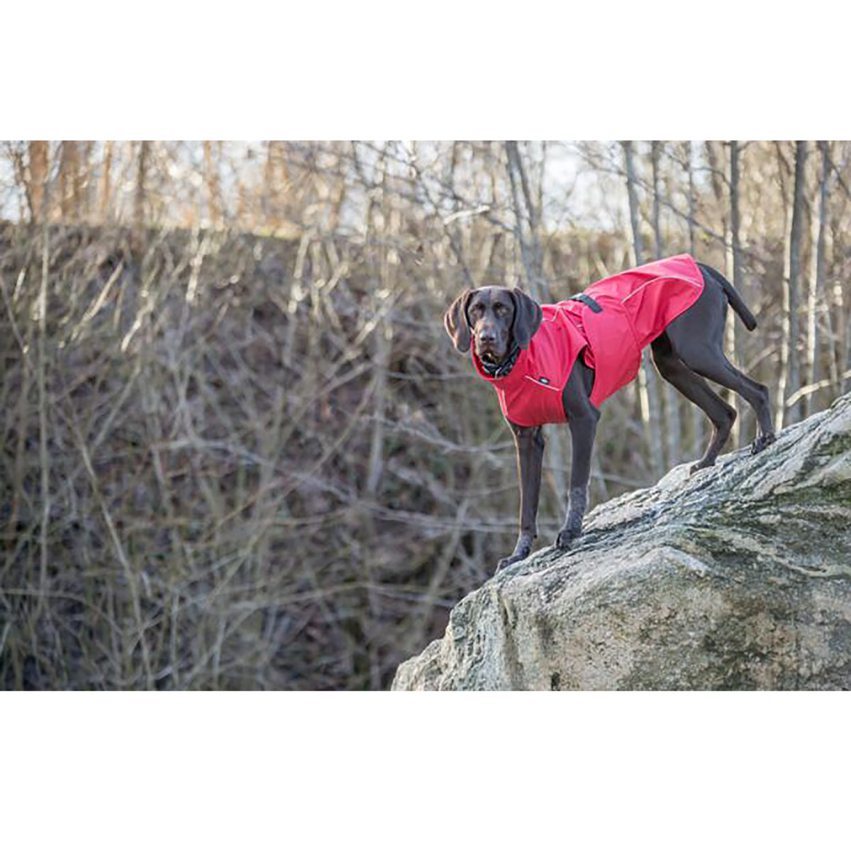Trixie Vimy Rain Waterproof Dog Coat Red